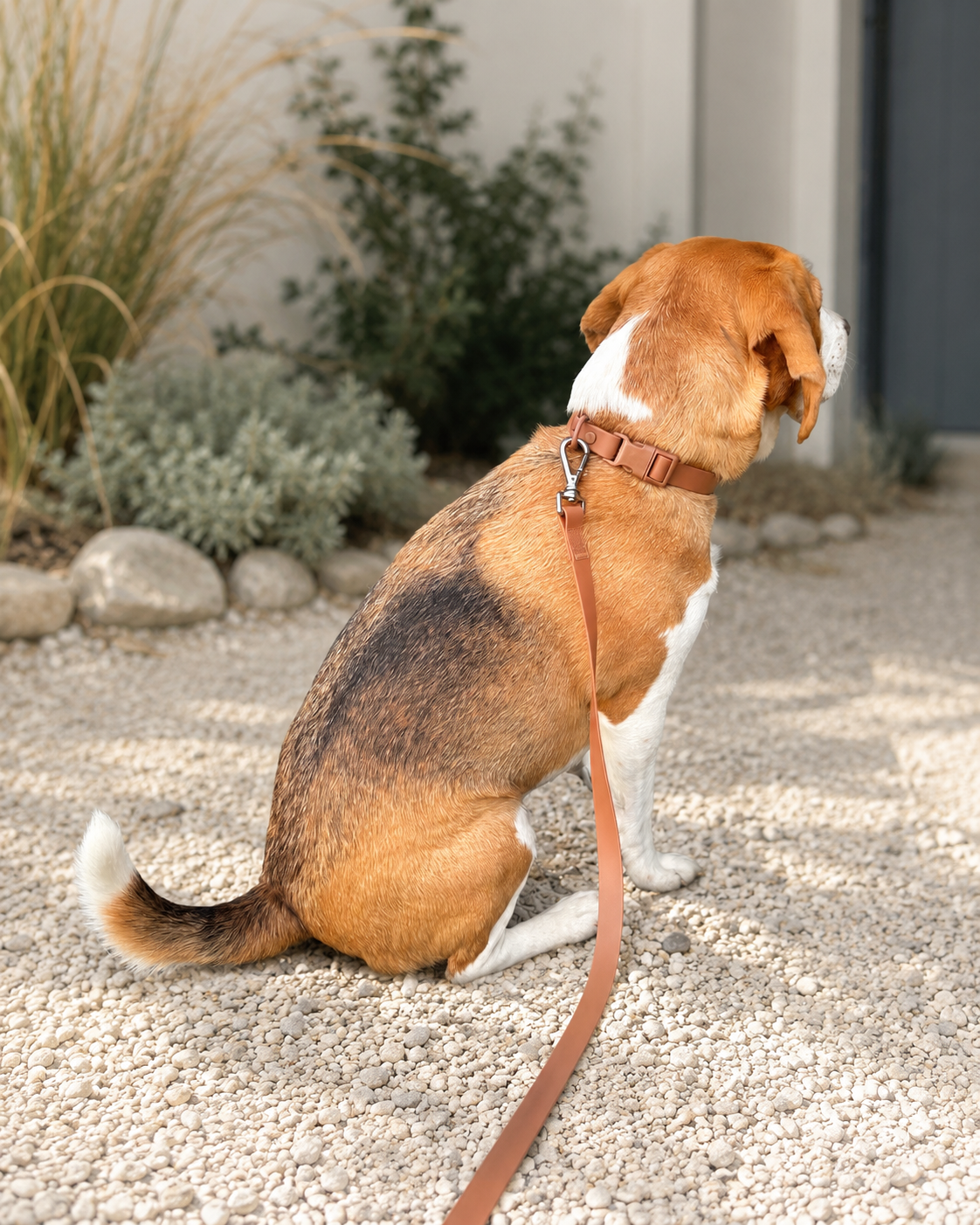 Waterproof Dog Leash